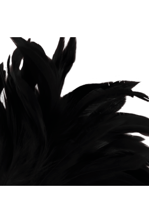 DARKNESS BLACK FEATHER  LUX