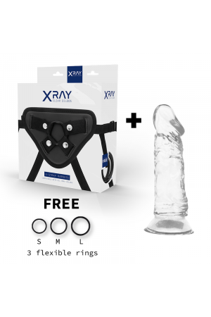 XRAY HARNESS + CLEAR COCK...