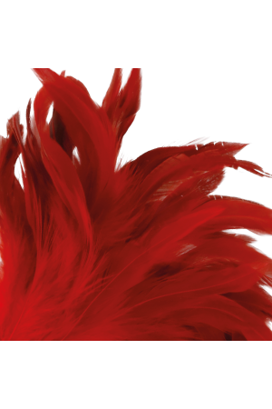 DARKNESS RED FEATHER  24CM