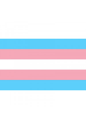 PRIDE - TRANSEXUAL FLAG 90...